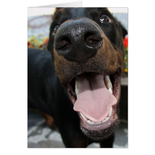Funny Doberman Cards (Front)