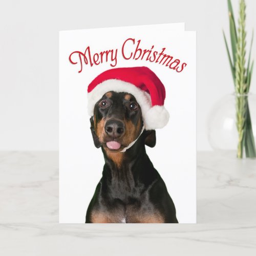 Funny Doberman dog Christmas cards