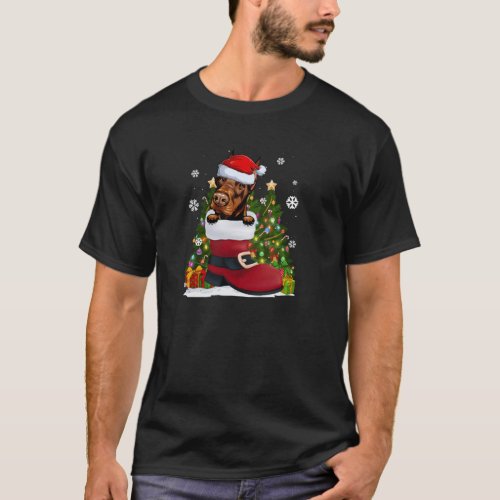 Funny Doberman in the Shoe Santa Hat Ugly Christma T_Shirt