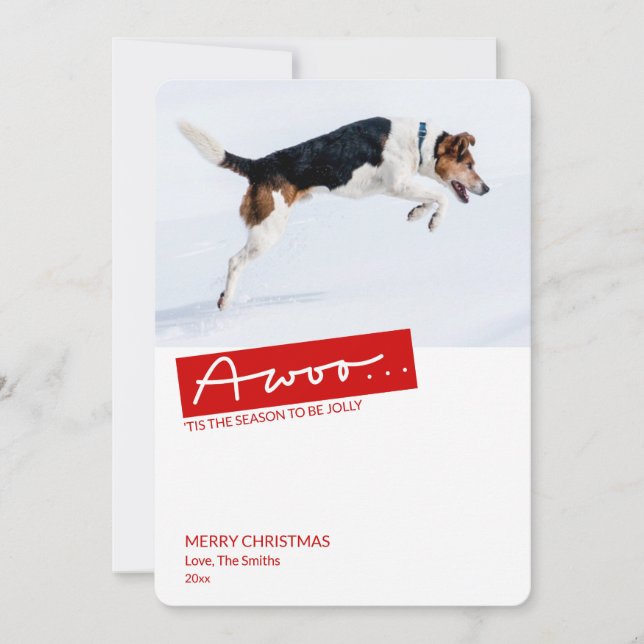 Funny Dog 2 Photo Template Christmas Card (Front)