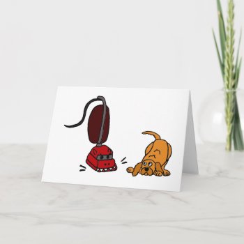 Funny Dog Afraid Of Vacuum Cleaner Card by Petspower at Zazzle