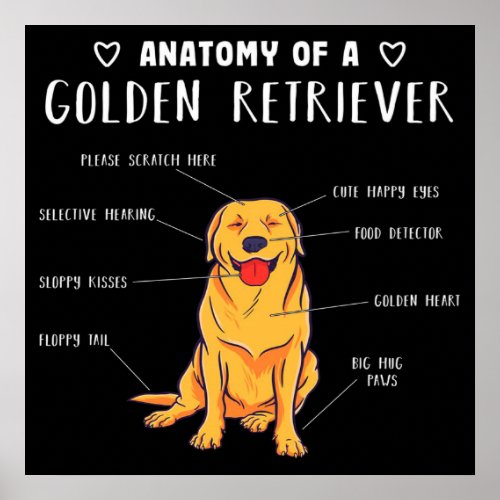 Funny Dog Anatomy Of A Golden Retriever Poster
