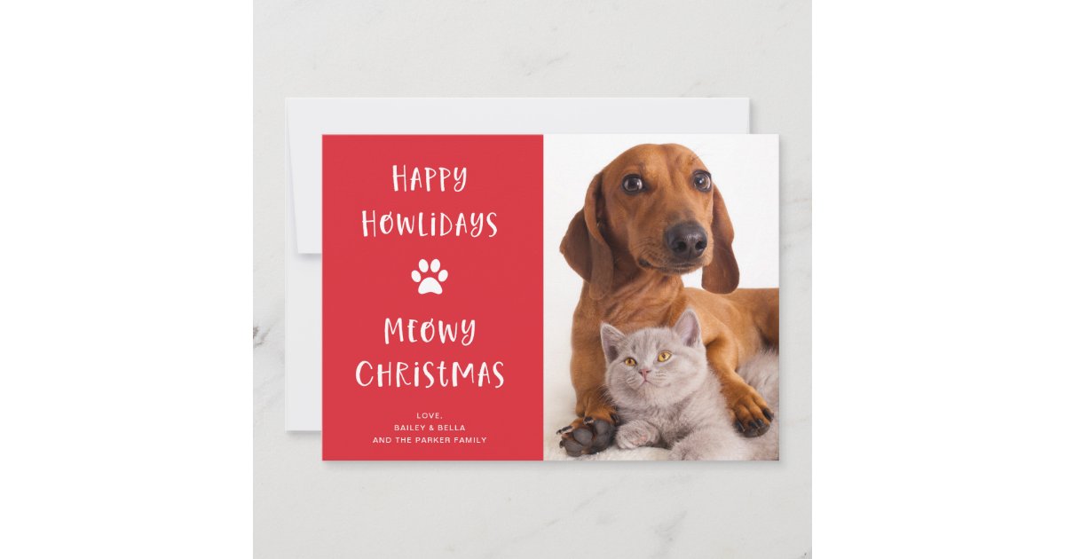 Funny Dog and Cat Christmas with Photo Holiday Card | Zazzle