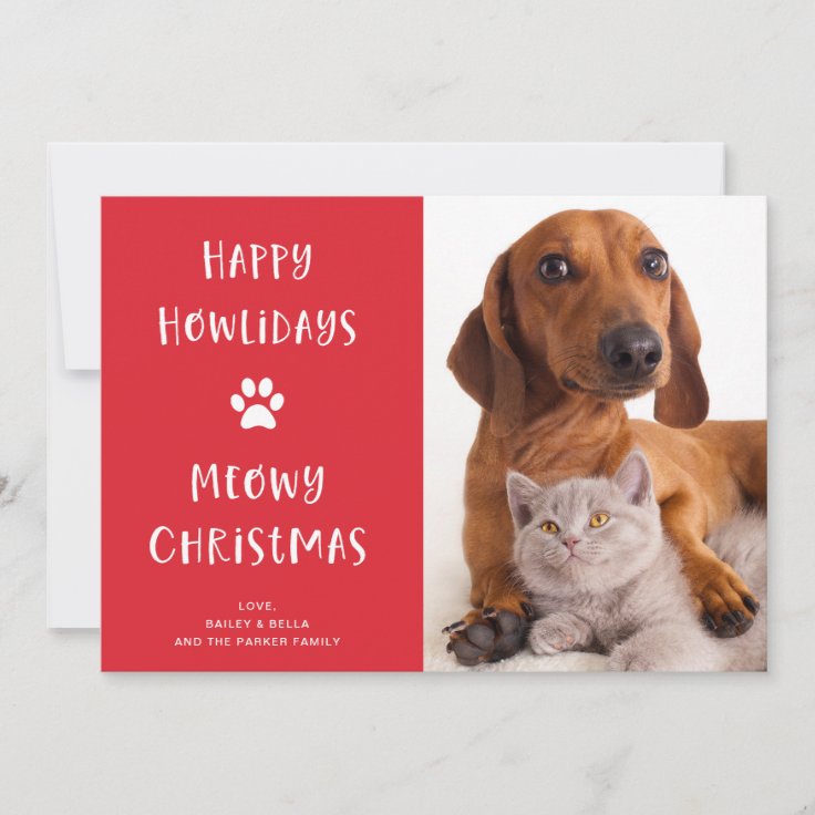 Funny Dog and Cat Christmas with Photo Holiday Card | Zazzle