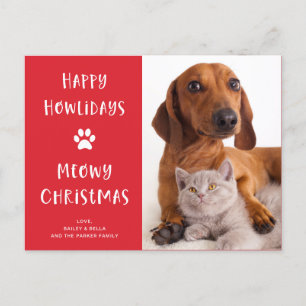 Funny Dog and Cat Christmas with Photo Holiday Postcard