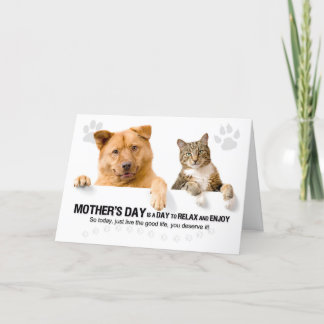 Funny Dog and Cat on White Mother's Day Holiday Card