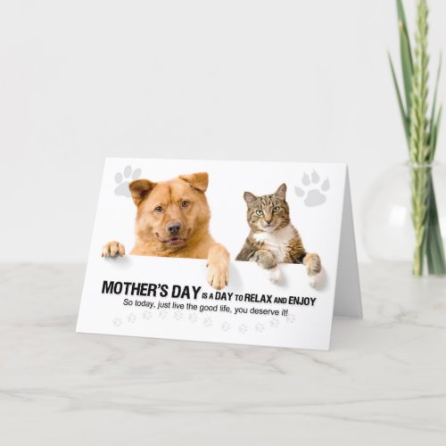 Funny Dog and Cat on White Mothers Day Holiday Card