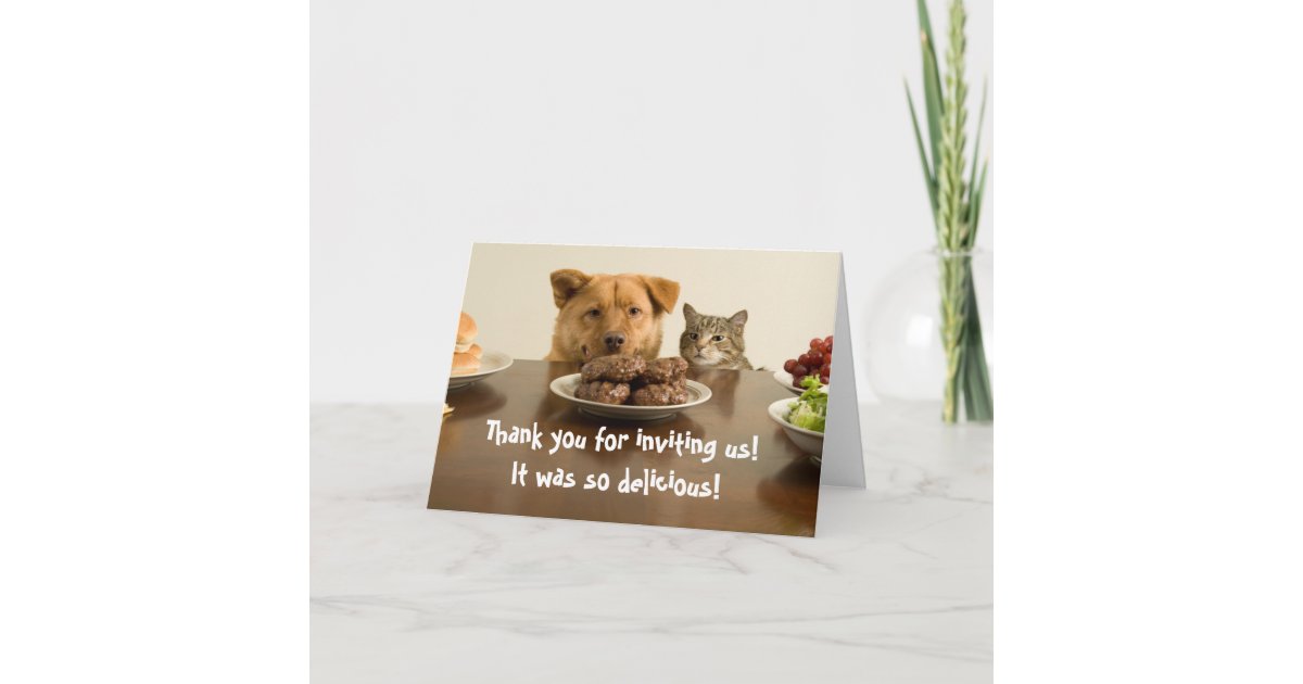 Funny Dog And Cat Thank You For The Dinner Card Zazzle Com