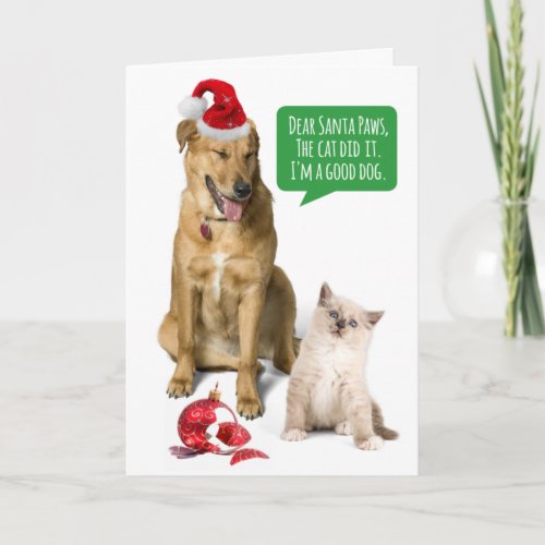Funny Dog And Cat With Broken Ornament Christmas Holiday Card