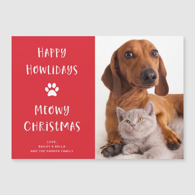 Funny Dog and Cat with Photo | Christmas Holiday (Front)