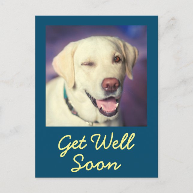 Funny Dog and Encouragement Get Well   Postcard (Front)