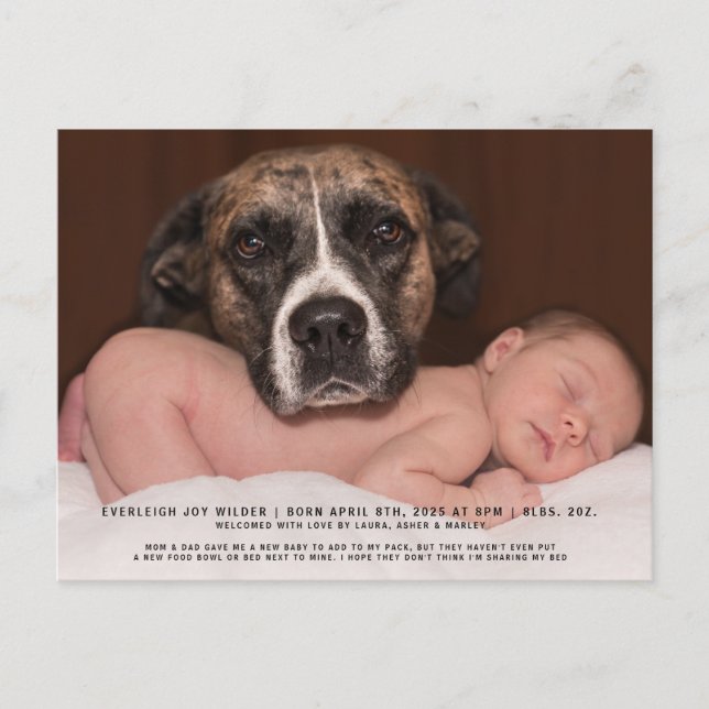 Funny Dog Baby Photo Birth Announcement Postcard (Front)