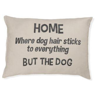 Funny dog bed Cute pet bed Choose background color