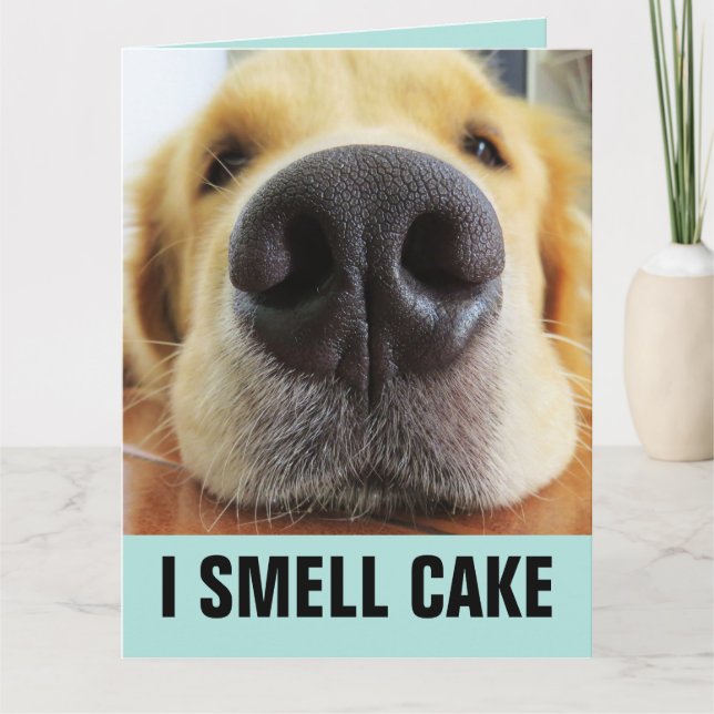 FUNNY DOG BIG BIRTHDAY SMELL CAKE CARD (Front)
