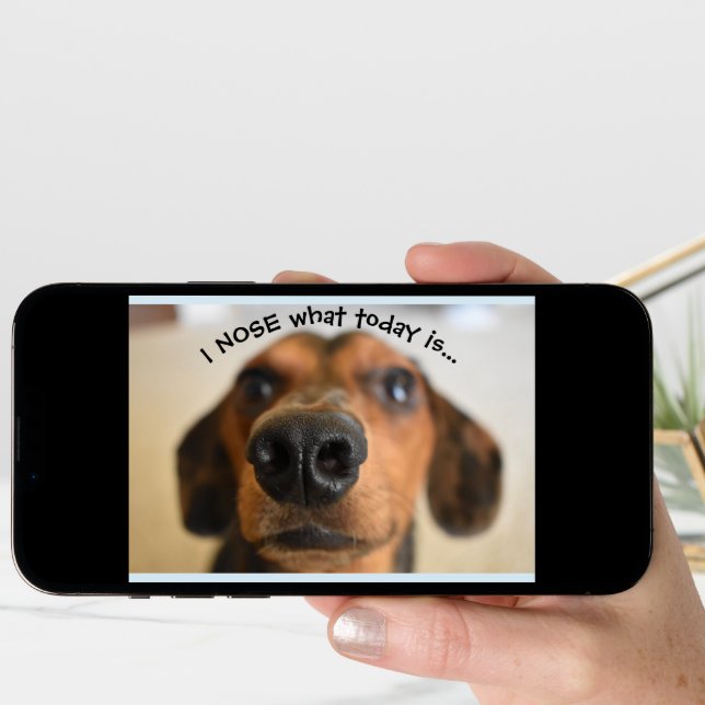 Funny Dog Birthday Card (Front Digital)