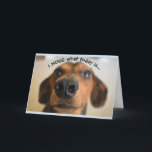 Funny Dog Birthday Card<br><div class="desc">Funny Birthday card of a dogs nose. Text reads "I nose was today is" and on the inside it says "It's your birthday!"</div>