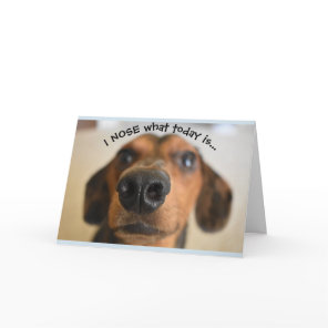 Funny Dog Birthday Card