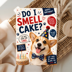 Funny Dog Birthday Card