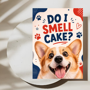 Funny Dog Birthday Card
