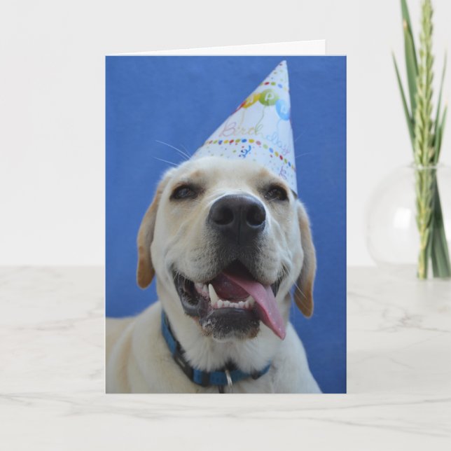 Funny Dog Birthday Card (Front)