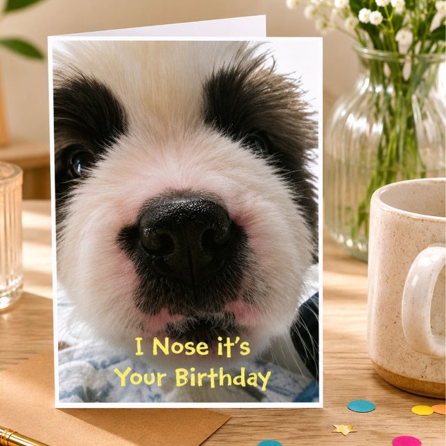 Funny Dog Birthday Card for Dog Lovers (Creator Uploaded)
