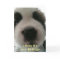 Funny Dog Birthday Card for Dog Lovers