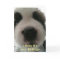 Funny Dog Birthday Card for Dog Lovers
