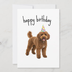 Funny Dog Birthday Card – Poodle Mom or Dad Gift