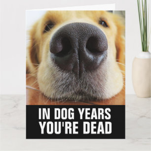 FUNNY DOG BIRTHDAY DOG GREETING CARD