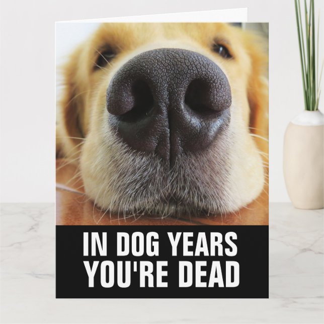 FUNNY DOG BIRTHDAY DOG GREETING CARD (Front)