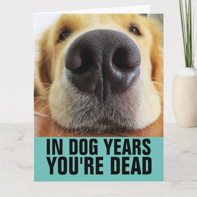 FUNNY DOG BIRTHDAY DOG GREETING CARDS (Front)