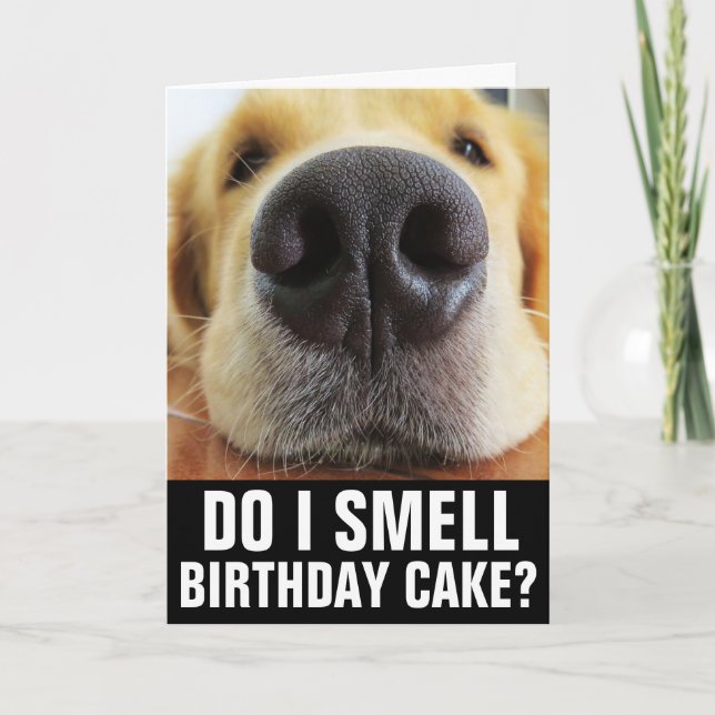 FUNNY DOG BIRTHDAY GREETING CARD (Front)