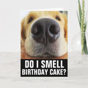 FUNNY DOG BIRTHDAY GREETING CARD