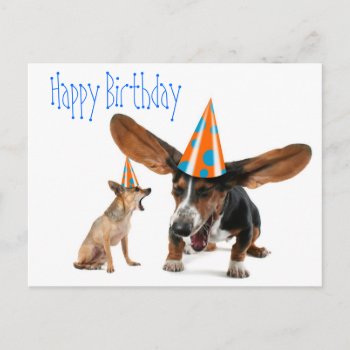 Funny Dog Birthday Postcard by DoggieAvenue at Zazzle