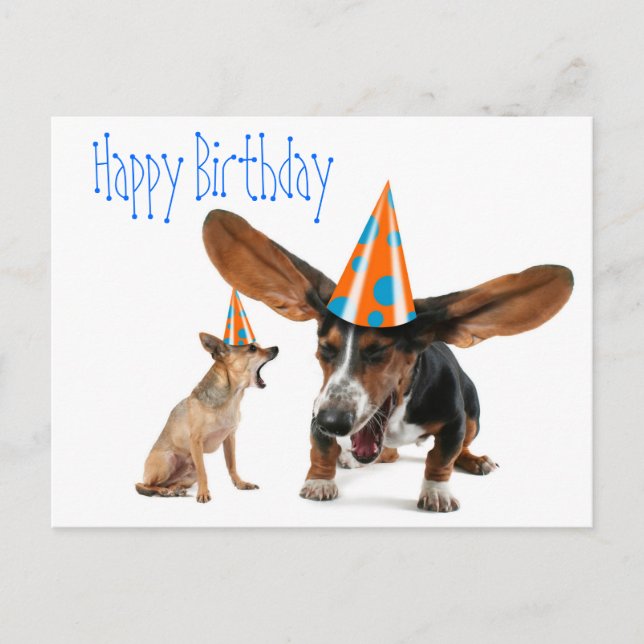 Funny Dog Birthday Postcard (Front)
