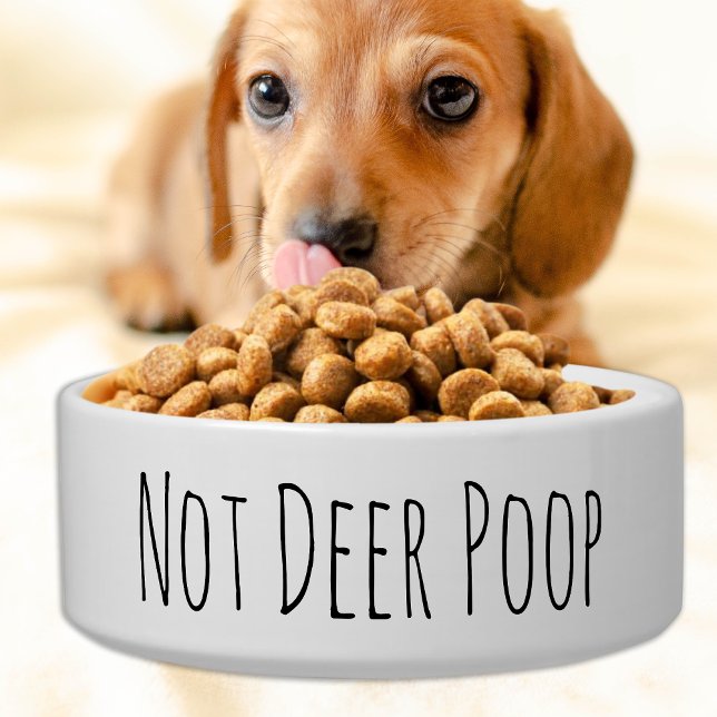 Funny Dog Bowl - Not Deer Poop - Cute Ceramic Dish (Creator Uploaded)