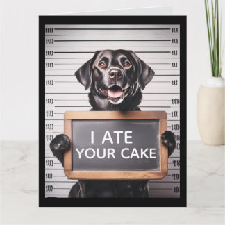 FUNNY DOG BRTHDAY MUGSHOT GREETING CARD