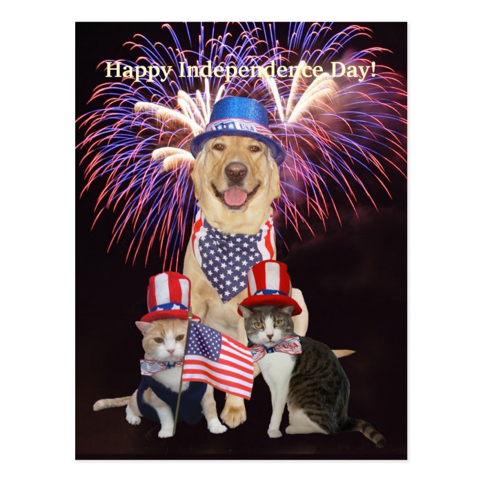 Funny Dog/Cat July 4th Post Card