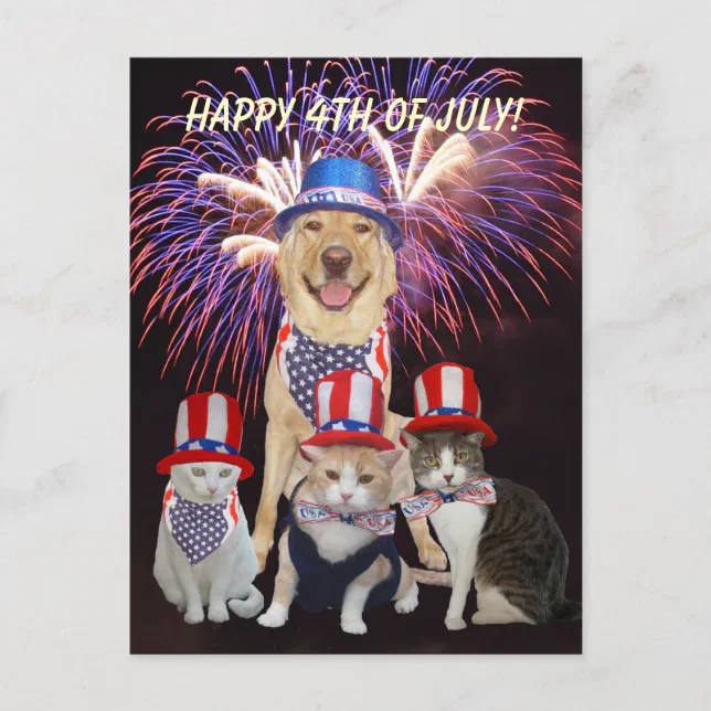 Funny Dog/Cat July 4th Postcard Zazzle