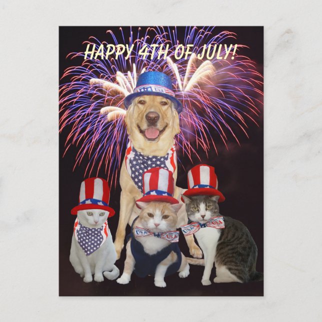 Funny Dog/Cat July 4th Postcard (Front)