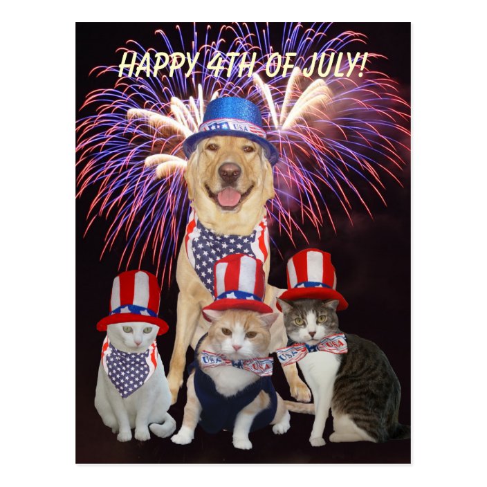 Top 27+ Photos happy 4th of july dog and cat Latest