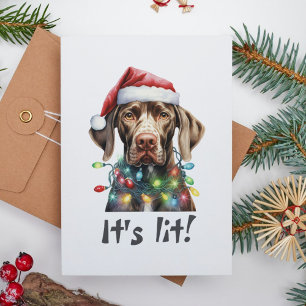 Funny Dog Christmas Card – Its Lit Quote