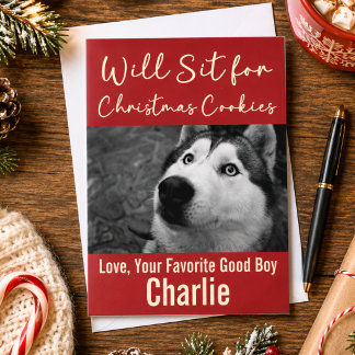Funny Dog Christmas Cookies Humor Custom Photo Holiday Card