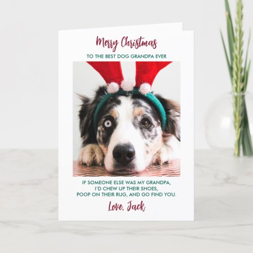 Funny Dog Christmas Granddog Custom Pet Photo Holiday Card