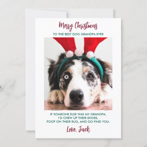 Funny Dog Christmas Grandparent Custom Pet Photo Holiday Card