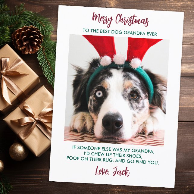 Funny Dog Christmas Grandparent Custom Pet Photo Holiday Card (Creator Uploaded)