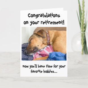 congratulations funny dog