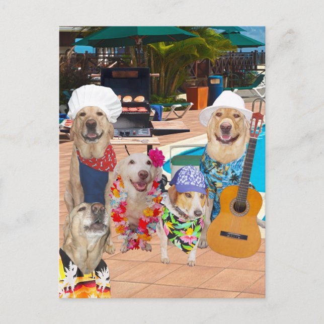 Funny Dog Customizable Pool Party Postcard (Front)