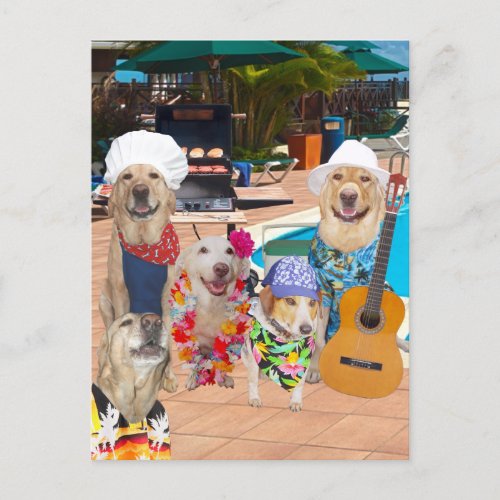 Funny Dog Customizable Pool Party Postcard Invite