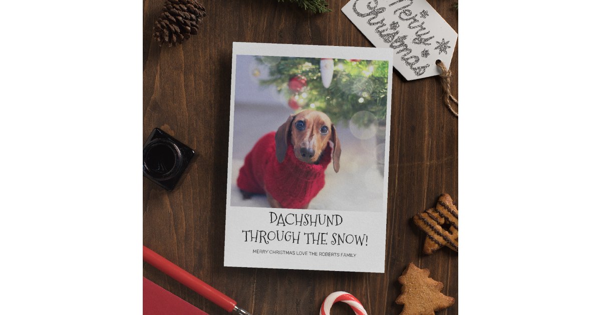 Funny Dog Dachshund Photo Christmas Holiday Card | Zazzle